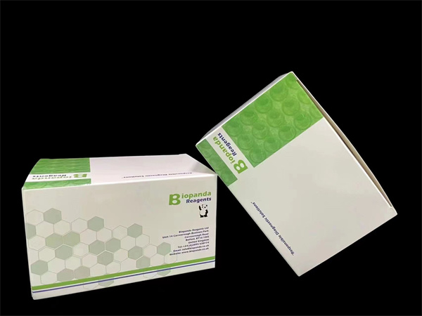 堿性磷酸酶標記試劑盒